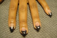 DSC05424 (800x537).jpg