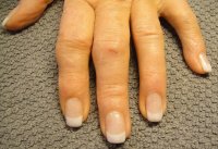 DSC05435 (800x548).jpg