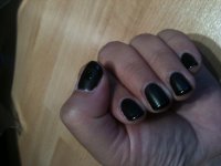 gelcolor mat brillant lincoln.JPG