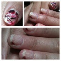 papillon et cherry blossom Del.JPG