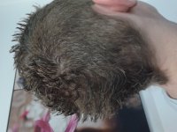 2013-02-17 19.57.22.jpg