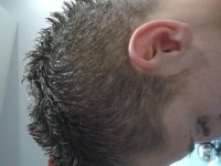 2013-02-17 19.55.44.jpg