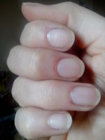 IMG_20130218_152749.jpg IMG_20130218_152749.jpg