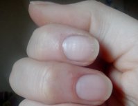 IMG_20130218_152749a.jpg IMG_20130218_152749a.jpg