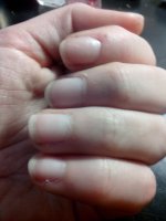 IMG_20130218_133158.jpg IMG_20130218_133158.jpg