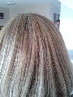 2013-02-18 11.49.17.jpg