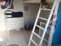 ForumRunner_20130220_152706.png ForumRunner_20130220_152706.png