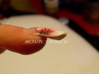 SL376870.JPG SL376870.JPG