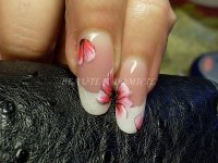 SL376878.JPG SL376878.JPG