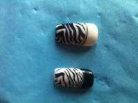 zèbre noir-blanc.jpg