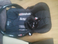 ForumRunner_20130302_115355.png ForumRunner_20130302_115355.png