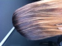 image-3589007856.jpg image-3589007856.jpg