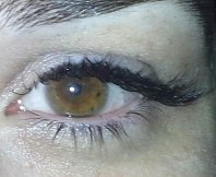 2013-02-28 13.18.19-2.jpg