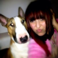 image-1814186768.jpg image-1814186768.jpg