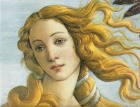 botticelli venus.jpg