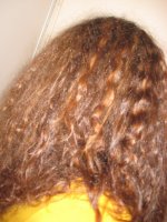 IMG_0005 (600x800).jpg