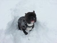 2013-03-12 14.06.36.jpg