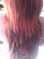 2013-03-20 12.10.41.jpg