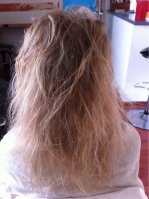 image-186440145.jpg image-186440145.jpg