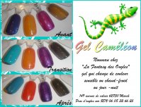 gel cameleon.jpg