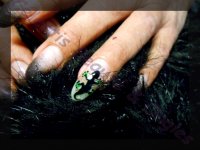 ongles salamandre.jpg