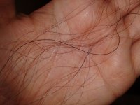 2013-03-22 10.26.07.jpg