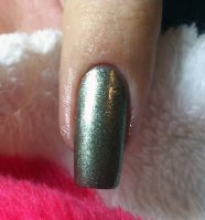 37 - Pronails 289.JPG