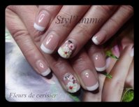 Fleurs de cerisier.jpg