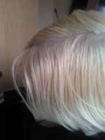 WP_000120.jpg WP_000120.jpg