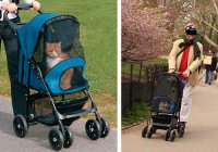 cat-stroller.jpg