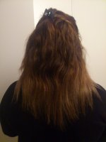 DSC_5682.JPG DSC_5682.JPG