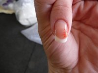 P1060503 (800x600).jpg