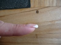 P1060505 (800x600).jpg