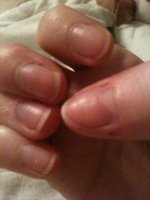 image-3230822740.jpg image-3230822740.jpg