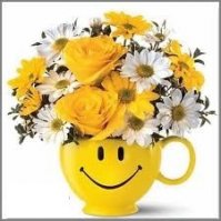 bol smiley soleil.jpg