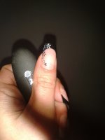 2013-04-08 12.13.28.jpg