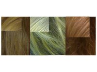 évolution couleur.jpg