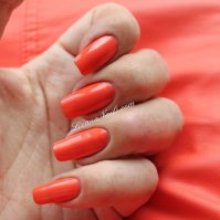 1- Pimp My Shrimp.JPG