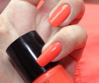 2 - Pimp My Shrimp.JPG