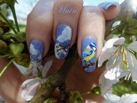 nail art mésange web.jpg