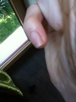 image-1705233877.jpg image-1705233877.jpg