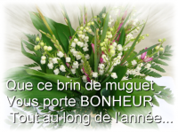 image-1334936622.png