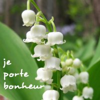 muguet.jpg