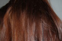 DSC_0677.JPG DSC_0677.JPG