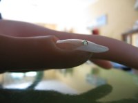 IMG_0961.JPG IMG_0961.JPG