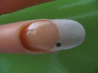 IMG_0964.JPG IMG_0964.JPG