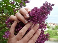 cherie cherie (800x600).jpg