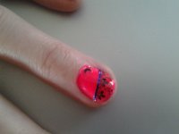 2013-04-21 19.36.21.jpg