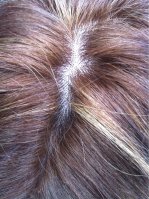 image-2250185570.jpg image-2250185570.jpg