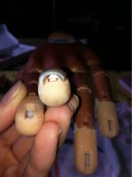 image-1317431137.jpg image-1317431137.jpg